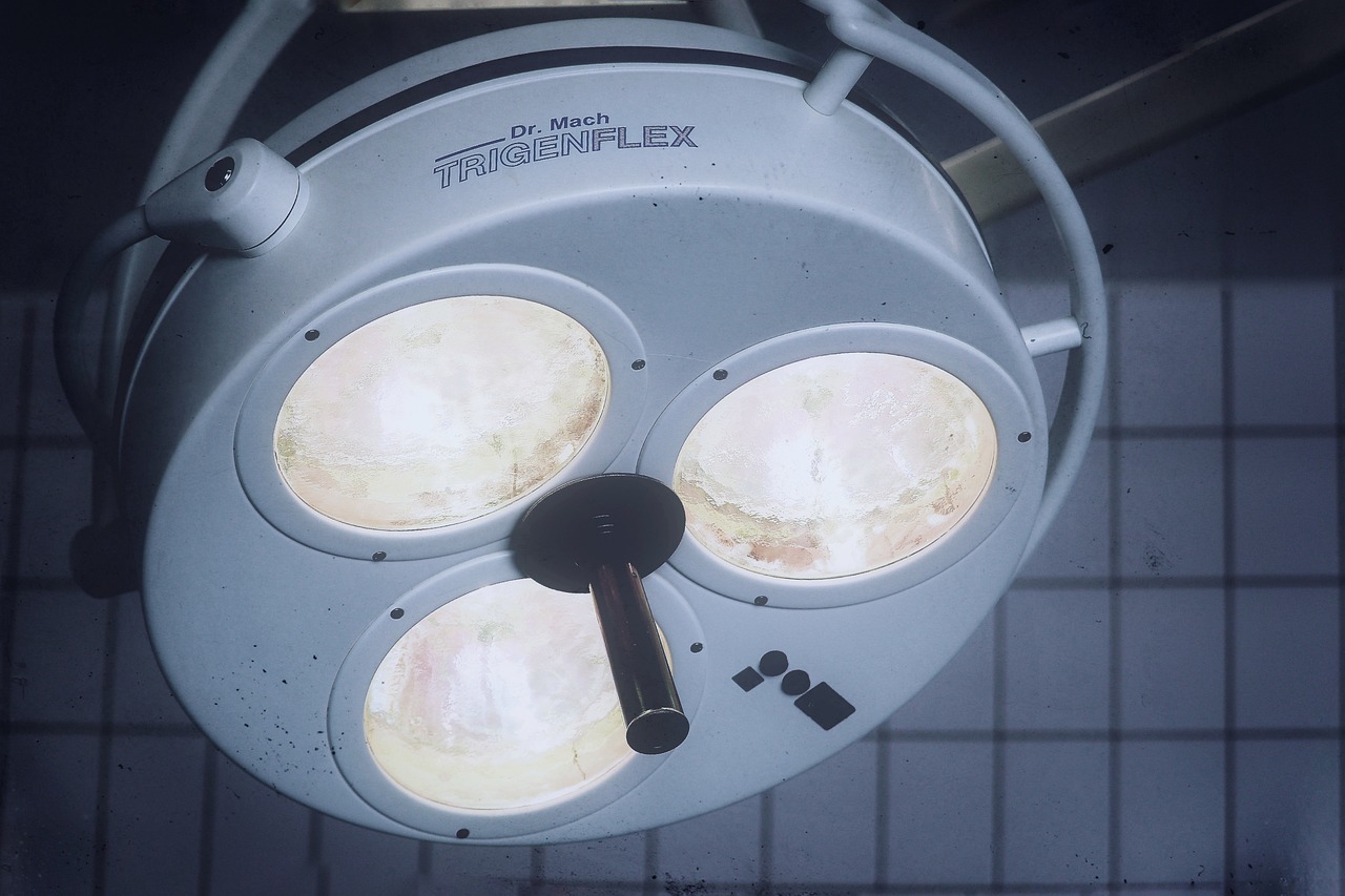 干果购买平台app