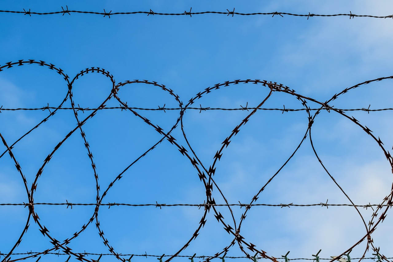 戒烟相关的社区支持，自我组织和未来趋势